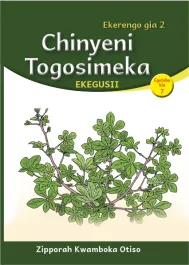 Chinyeni Togosimeka (Level 2 Book 7)