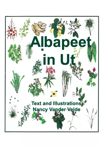 Cover thumbnail - Albappet in Ut