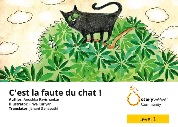 Cover thumbnail - C'est la faute du chat !